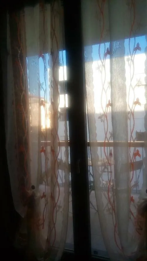 Apartment Appartamento Comodo Pisa
